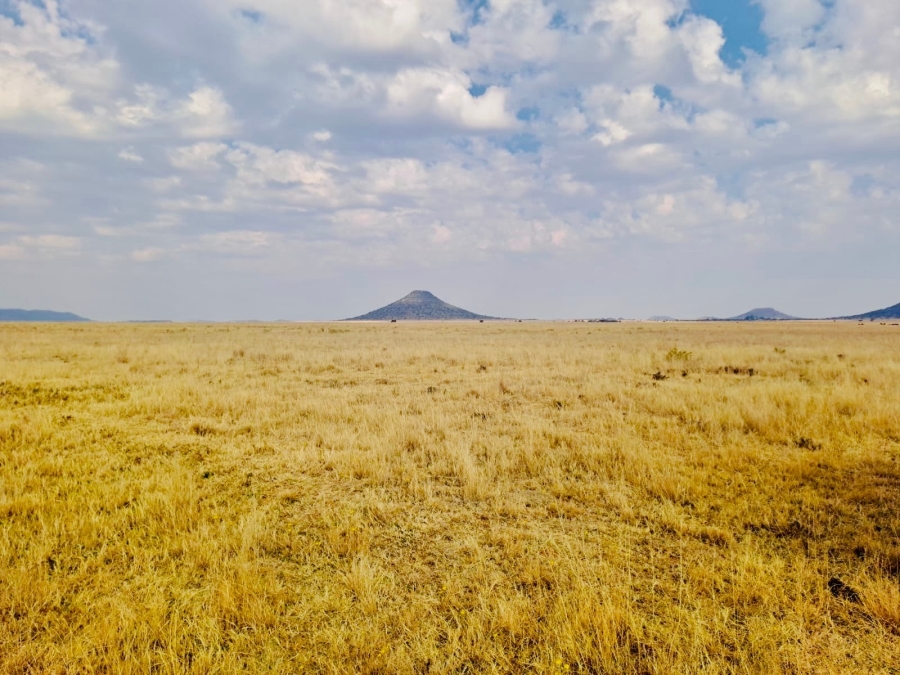 Commercial Property for Sale in Edenburg Free State